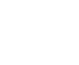 UFC